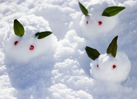 2月プレゼントキャンペーンにつきまして